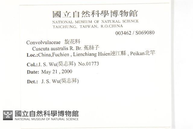 菟絲子藏品圖，第2張