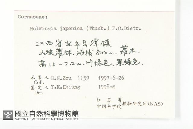 青莢葉藏品圖，第3張