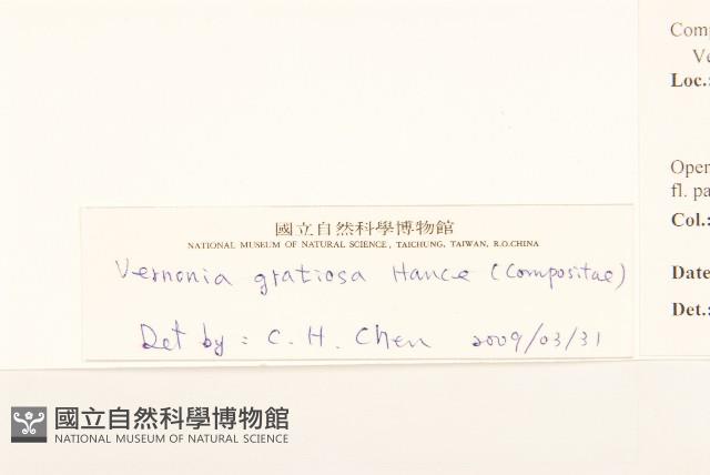 過山龍藏品圖，第3張