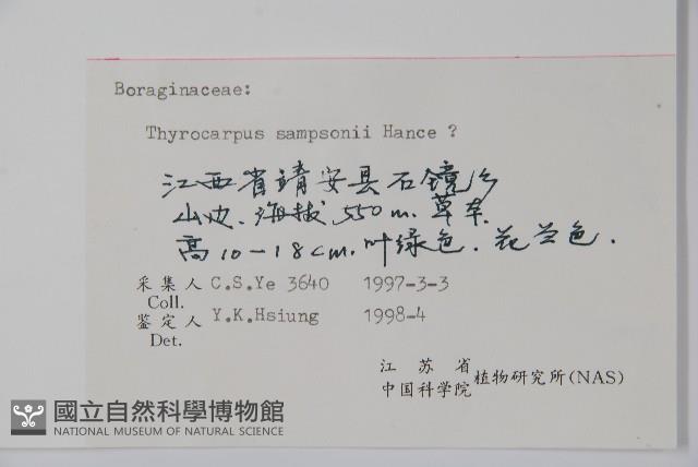 盾果草藏品圖，第2張