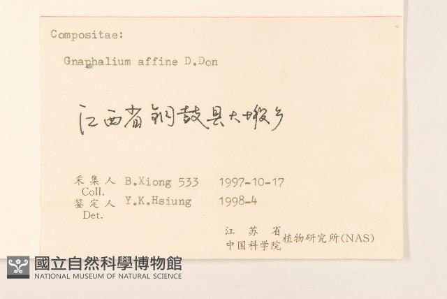 Cudweed Collection Image, Figure 3, Total 3 Figures