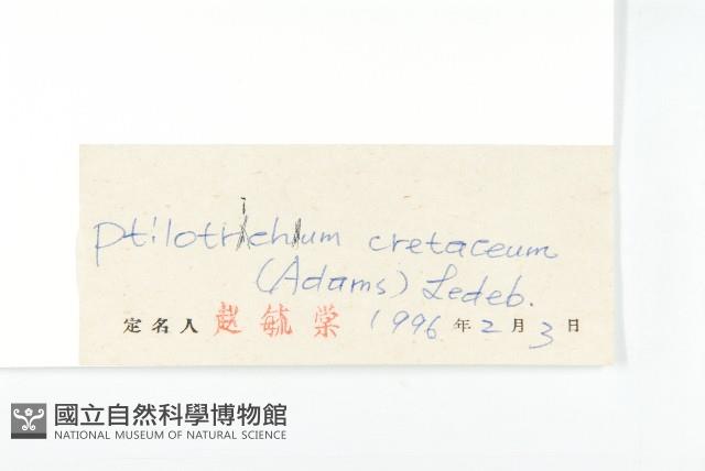 燥原薺藏品圖，第3張