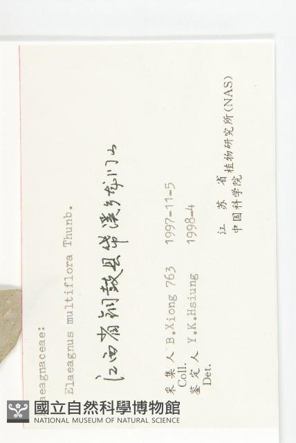 木半夏藏品圖，第3張