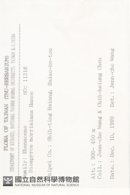 山紅柿藏品圖，第2張