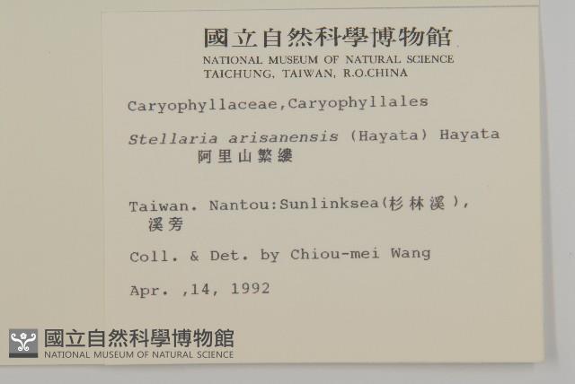 阿里山繁縷藏品圖，第2張