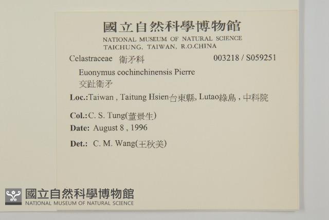 交趾衛矛藏品圖，第2張