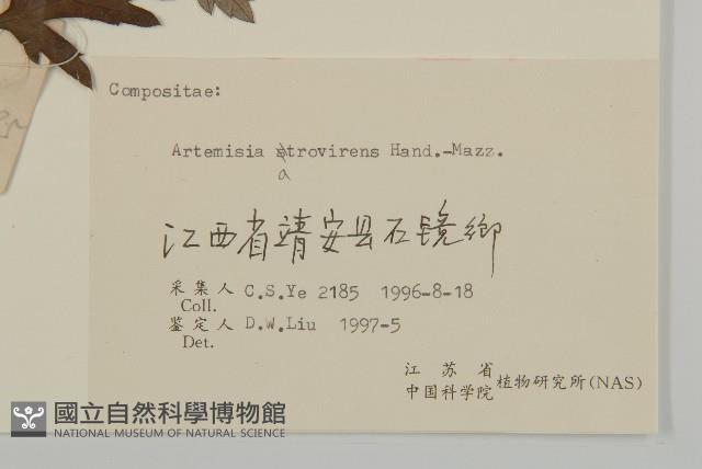 艾藏品圖，第3張