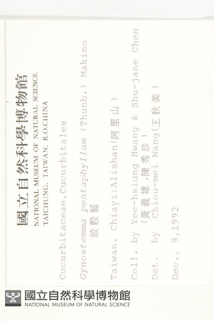 絞股藍藏品圖，第2張