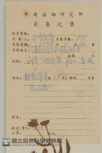 鱧腸藏品圖，第2張