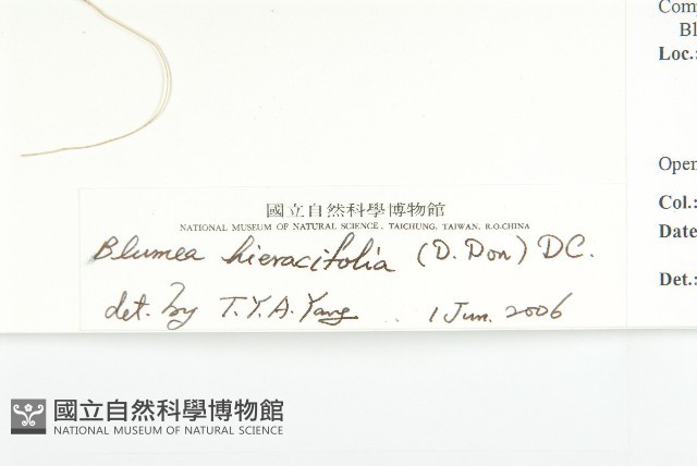 毛將軍藏品圖，第3張
