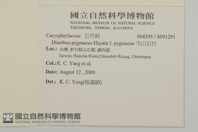 玉山石竹藏品圖，第2張