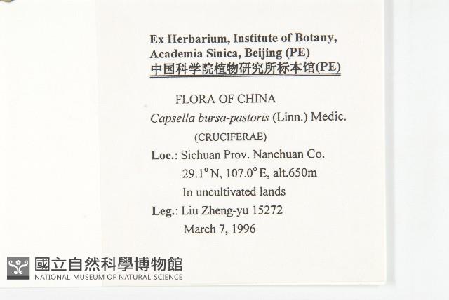 薺藏品圖，第2張