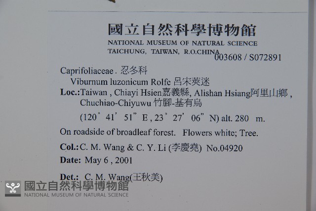 呂宋莢迷藏品圖，第2張