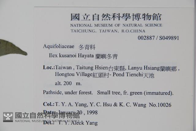 草野氏冬青藏品圖，第2張