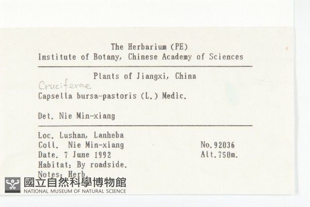 薺藏品圖，第2張