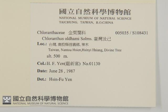 臺灣及己藏品圖，第2張