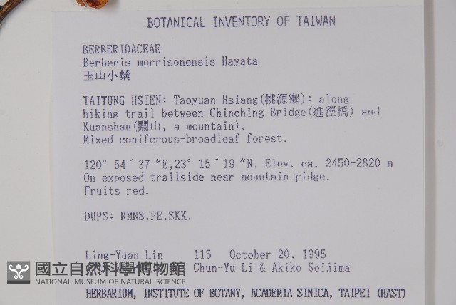 玉山小蘗藏品圖，第2張
