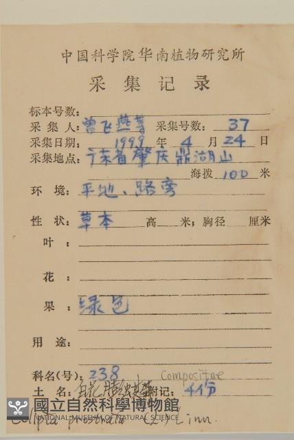 鱧腸藏品圖，第2張