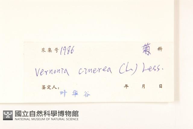 一枝香藏品圖，第3張