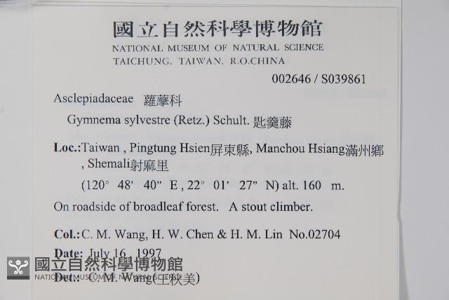 武靴藤藏品圖，第2張