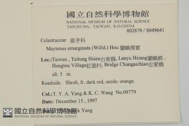 蘭嶼裸實藏品圖，第2張