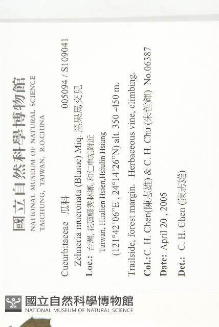 黑果馬交兒藏品圖，第2張