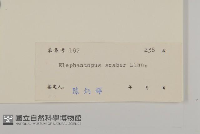 燈豎朽藏品圖，第3張