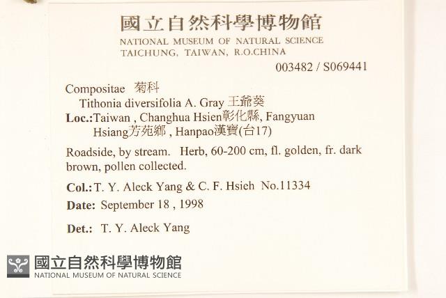 王爺葵、五瓜金英藏品圖，第5張