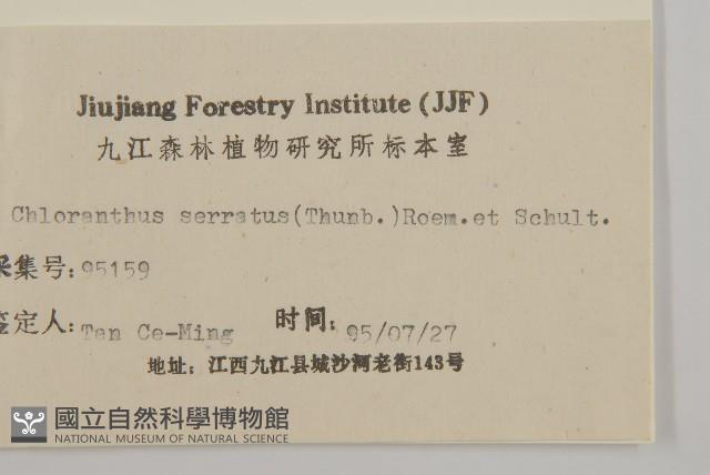 及己藏品圖，第3張