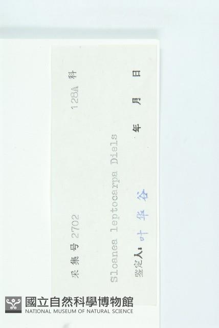 薄果猴歡喜藏品圖，第3張