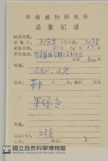 艾、五月艾藏品圖，第2張