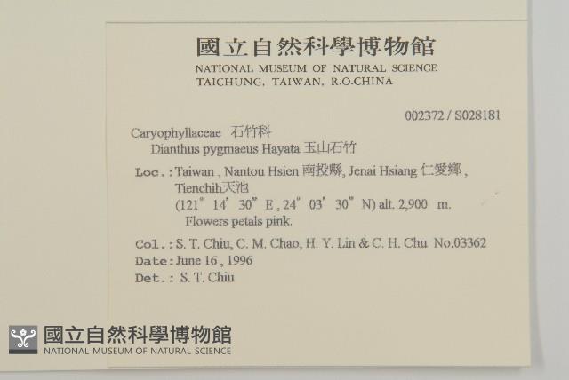 玉山石竹藏品圖，第2張