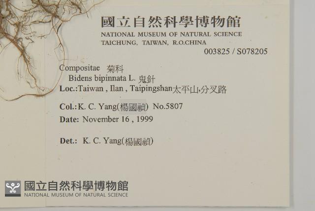 鬼針藏品圖，第2張