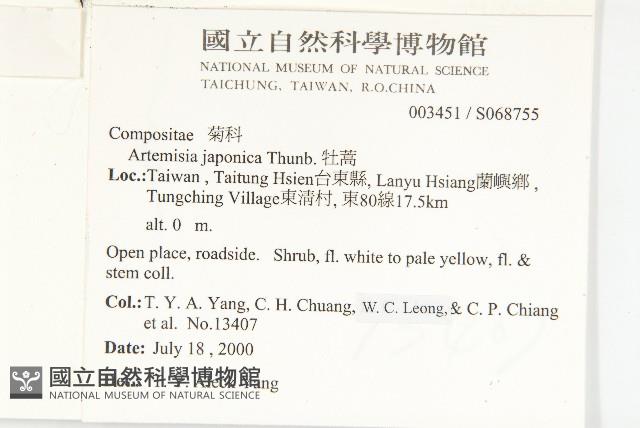 牡蒿藏品圖，第2張