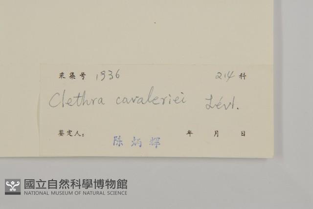 江南山柳藏品圖，第3張