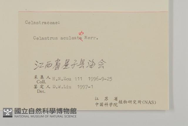 過山楓藏品圖，第3張