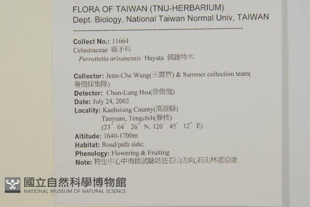 佩羅特木藏品圖，第2張