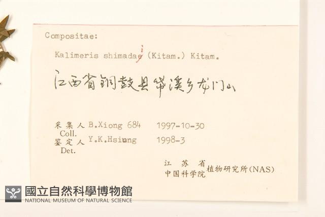 島田氏雞兒腸藏品圖，第3張