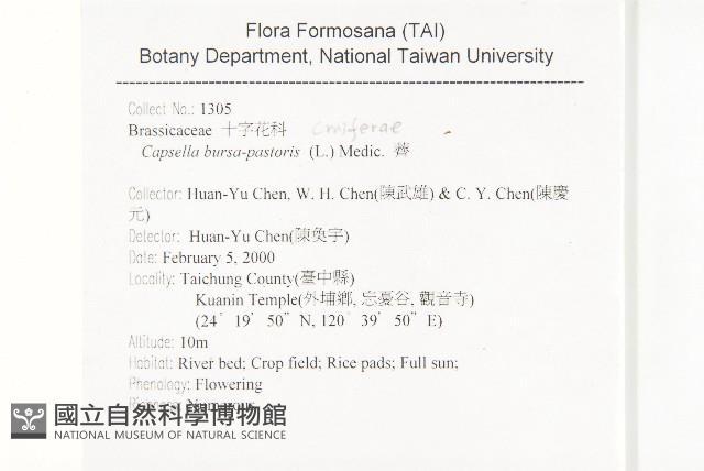 薺藏品圖，第2張