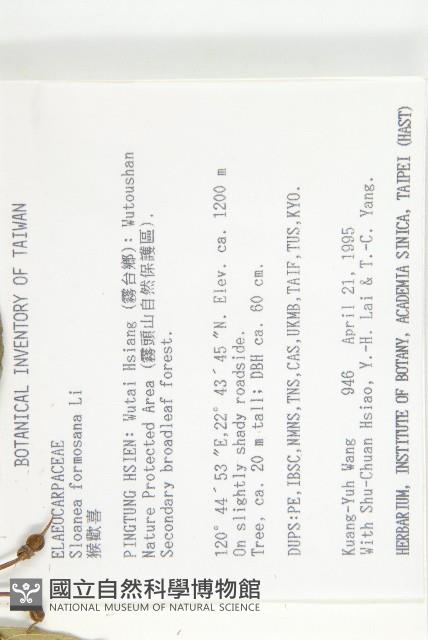 猴歡喜藏品圖，第2張