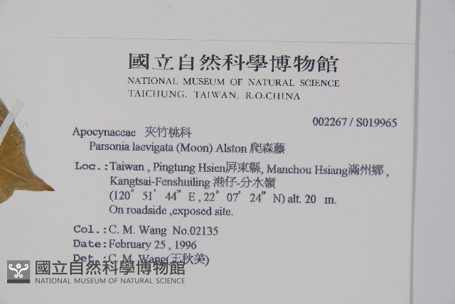 爬森藤藏品圖，第2張