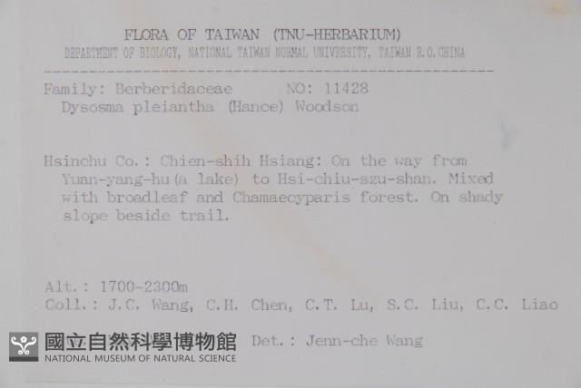 八角蓮藏品圖，第2張