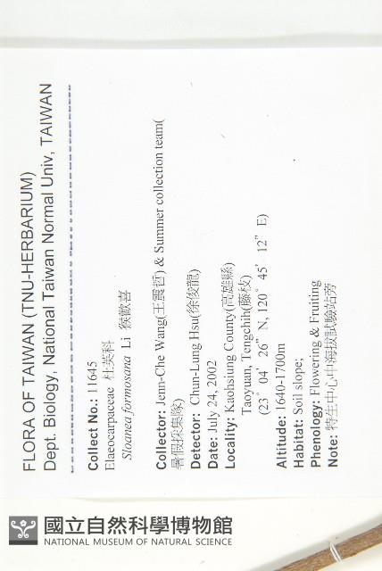 猴歡喜藏品圖，第2張