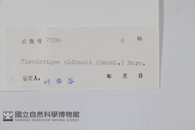 瓜馥木藏品圖，第2張