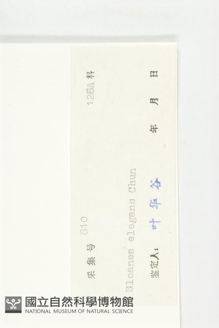 登錄號:S038475藏品圖，第3張