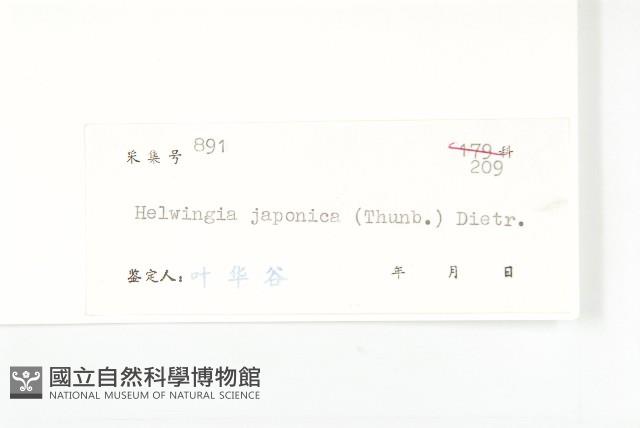 青莢葉藏品圖，第3張