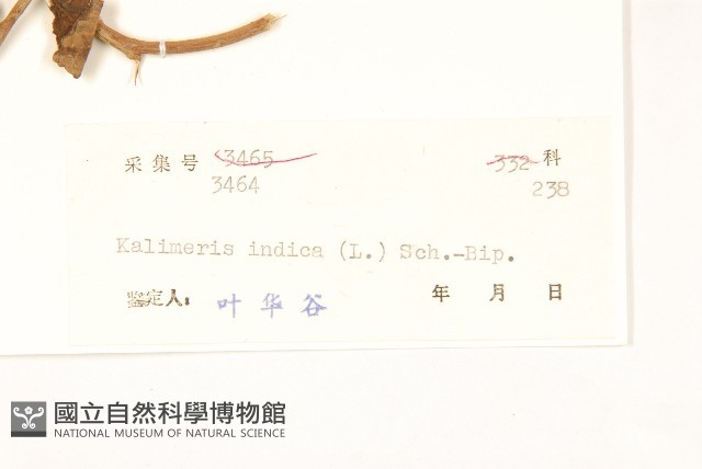 雞兒腸藏品圖，第3張