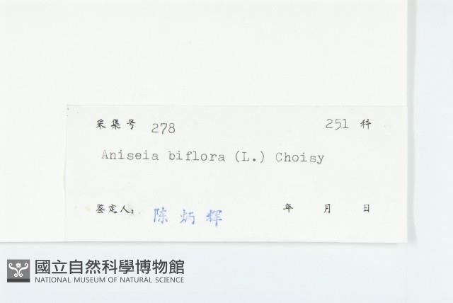 心萼薯藏品圖，第3張