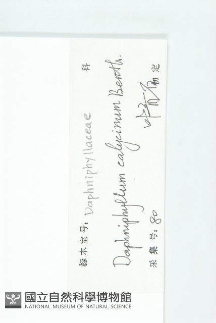 牛耳楓藏品圖，第3張