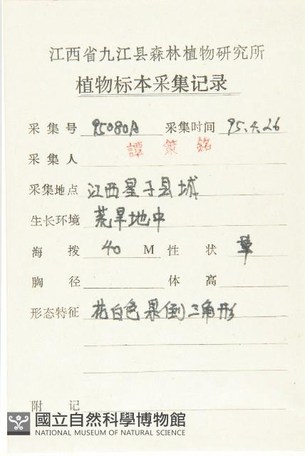 薺藏品圖，第2張